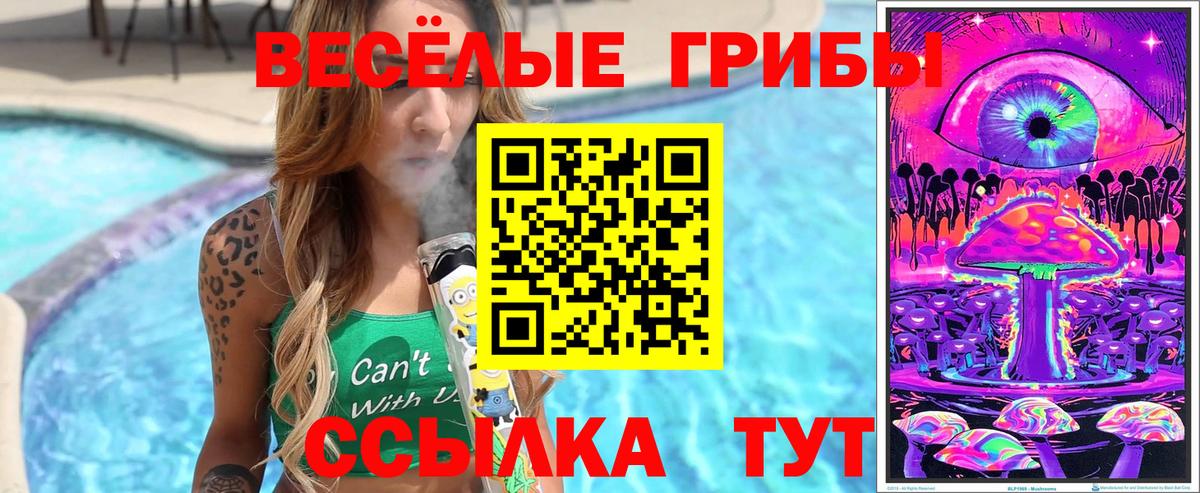 Галлюциногенные грибы ЛСД Зерноград